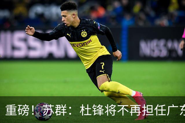 重磅！苏群：杜锋将不再担任广东队主教练，球迷：宏远天亮了